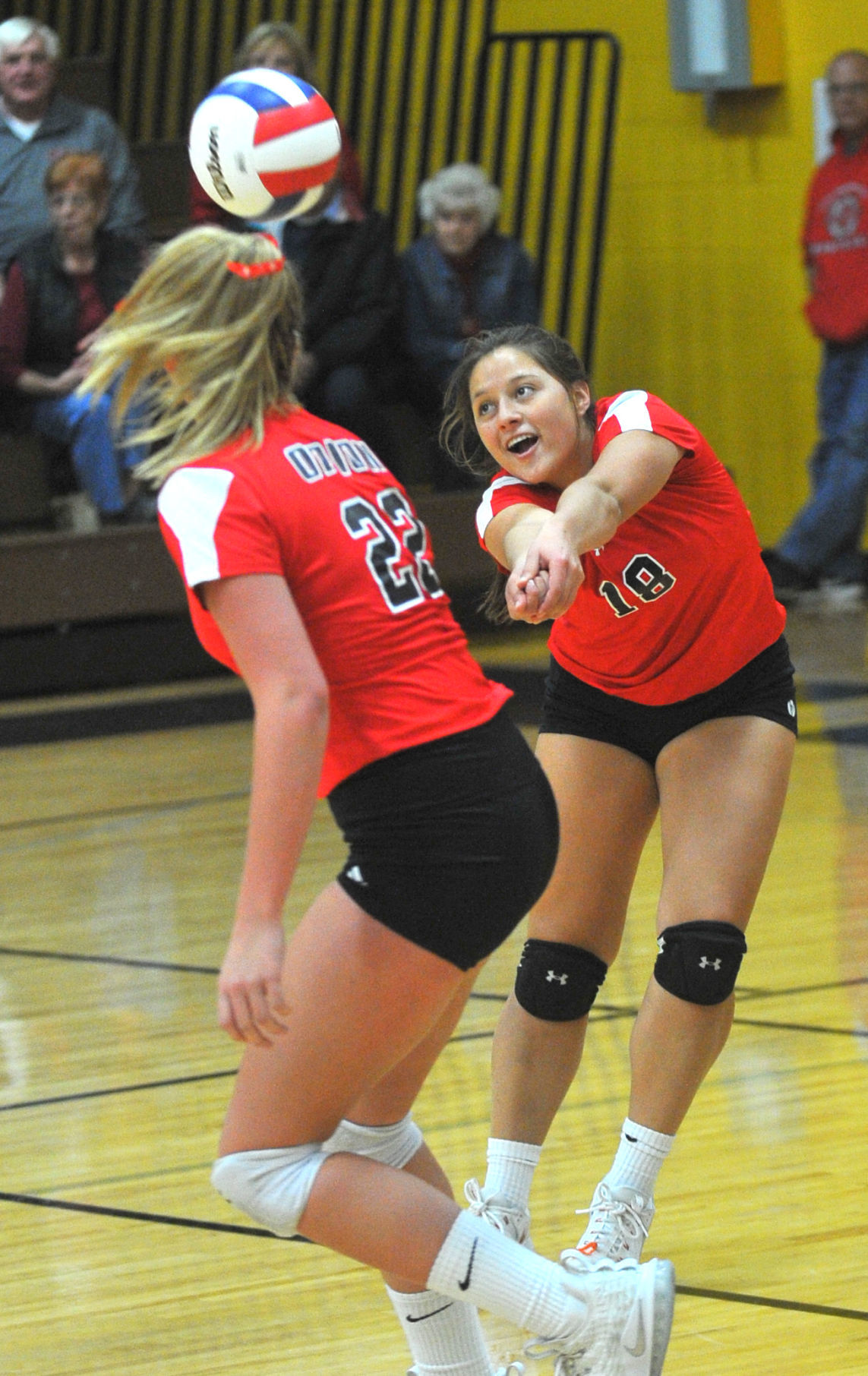 Class 2A volleyball Sectionals